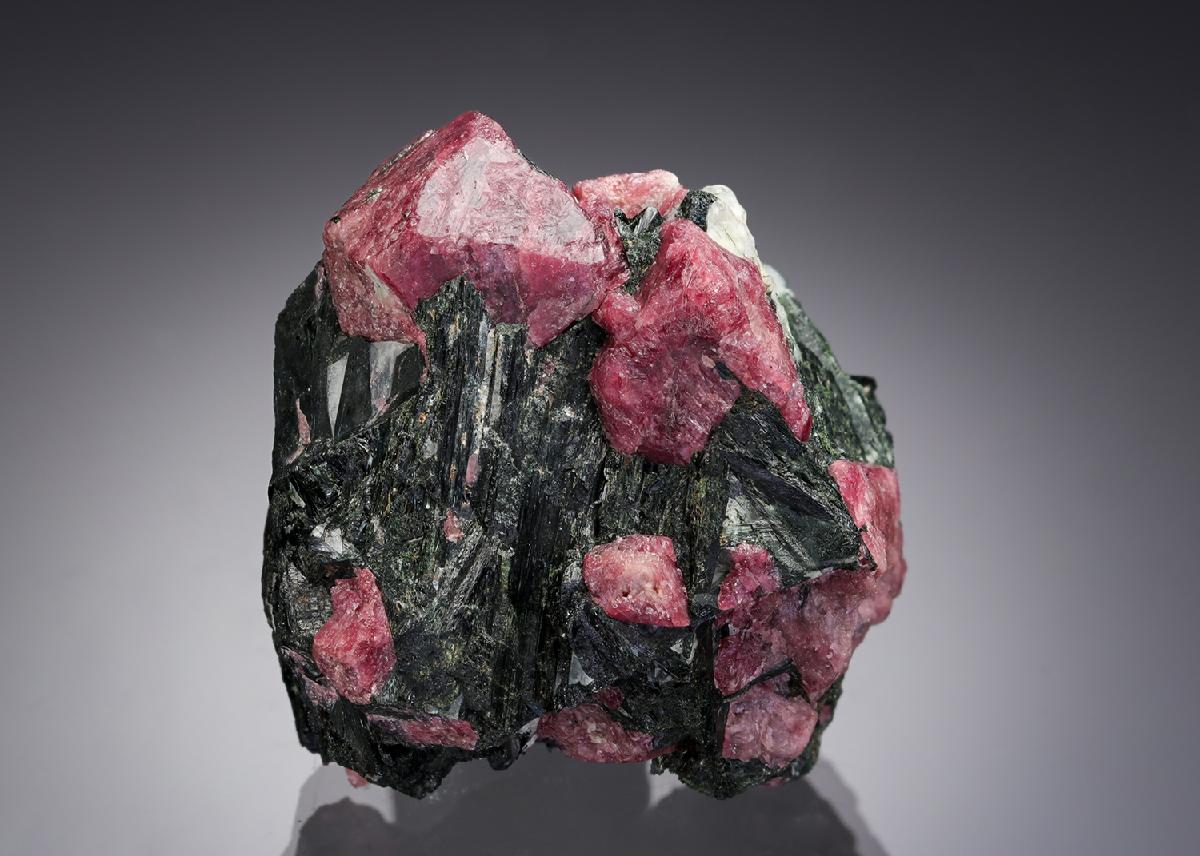 CC28933 specimen image