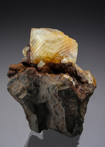 CC28935 specimen image