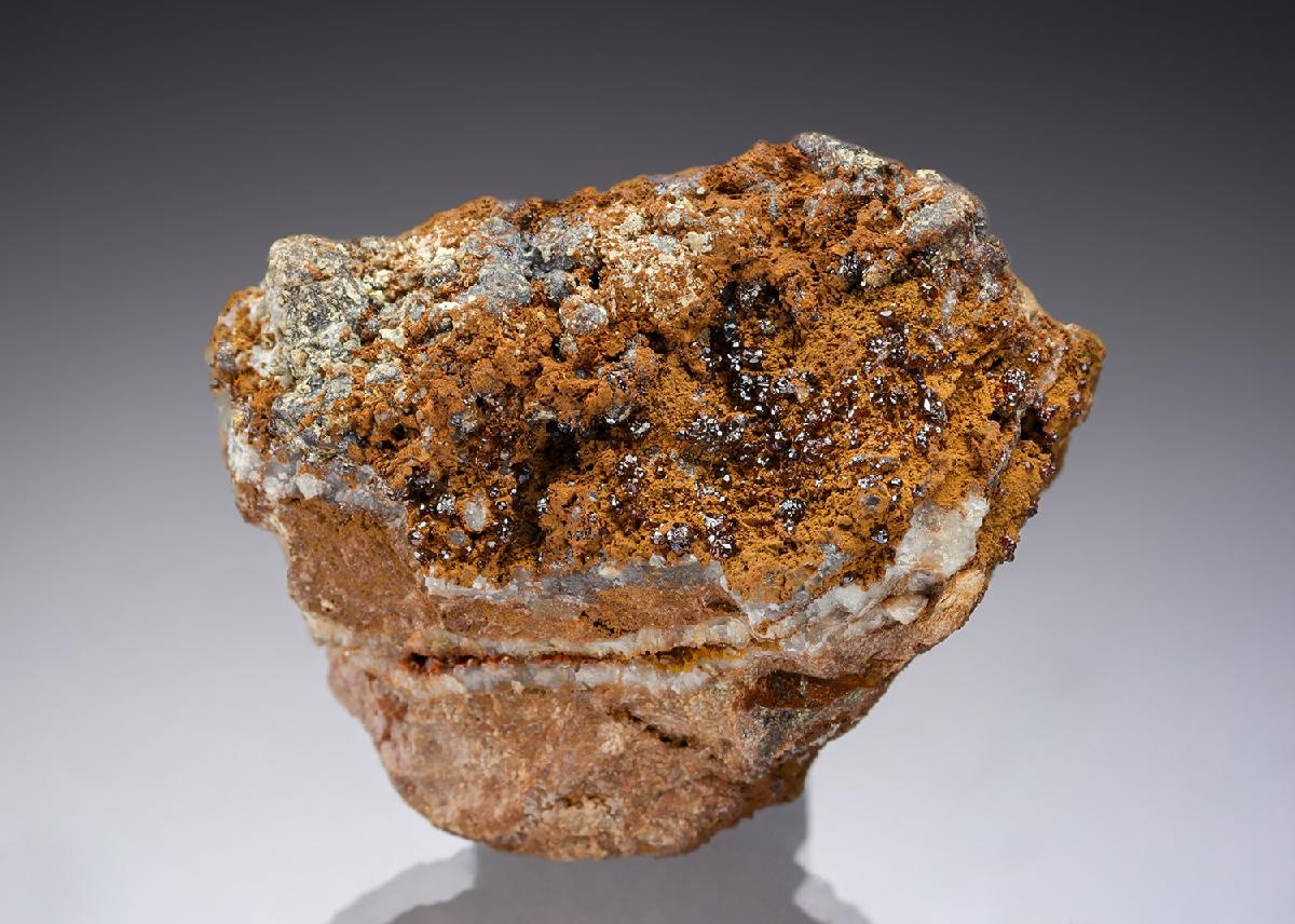 CC28937 specimen image