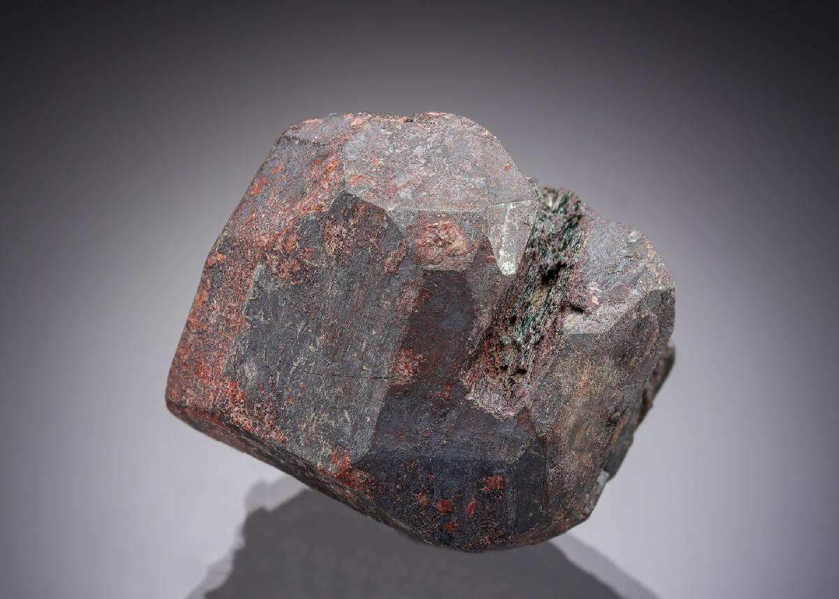 CC28943 specimen image
