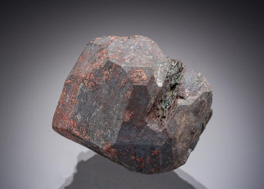 CC28943 specimen image