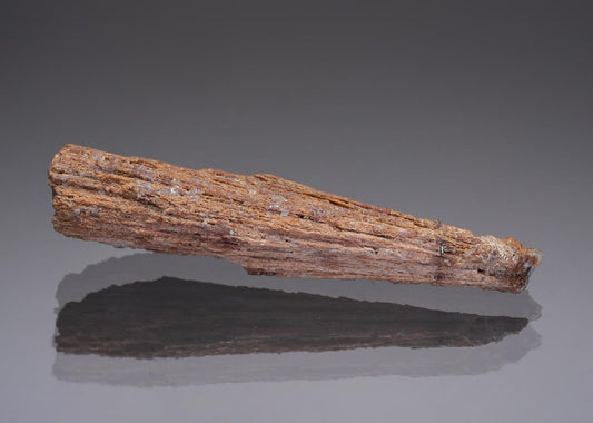 CC28969 specimen image