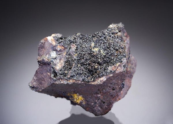 CC28975 specimen image