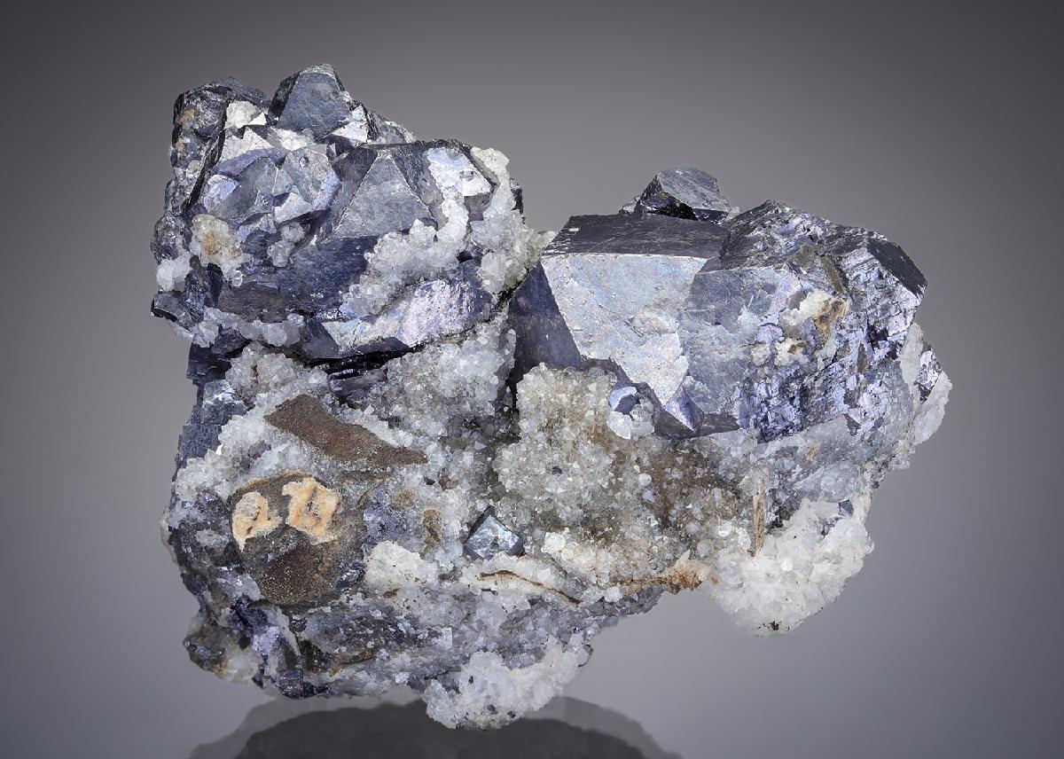 CC28987 specimen image