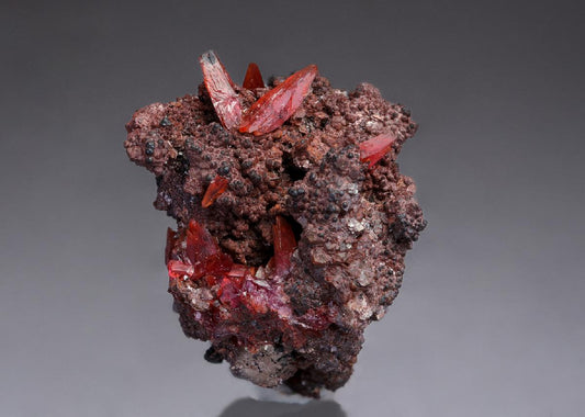 CC28989 specimen image