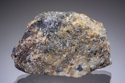 CC28991 specimen image