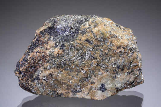 CC28991 specimen image