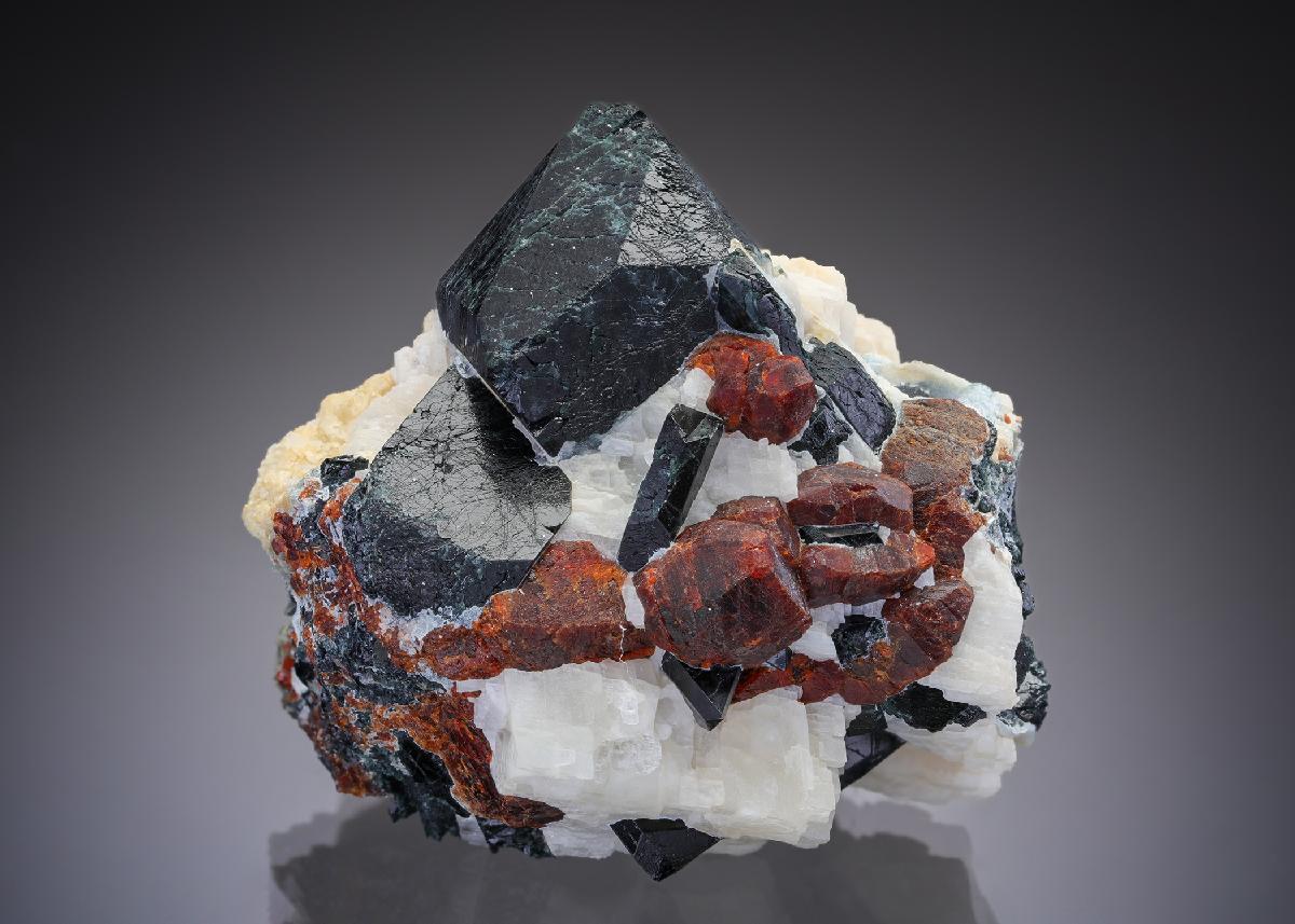 CC28993 specimen image
