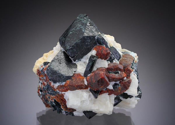 CC28993 specimen image
