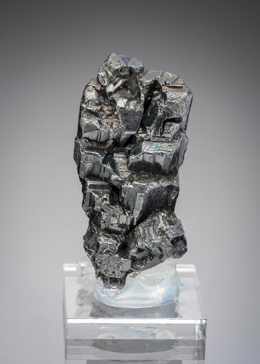 CC28997 specimen image