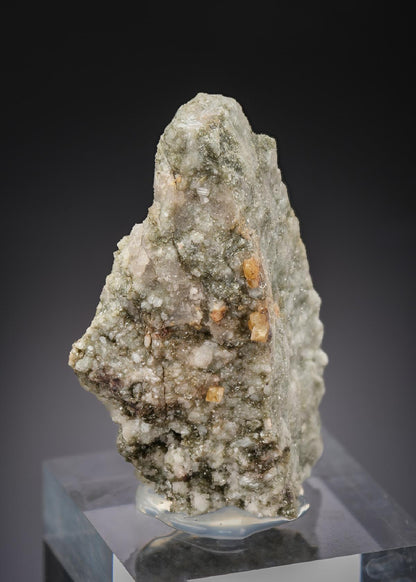 CC29013 specimen image