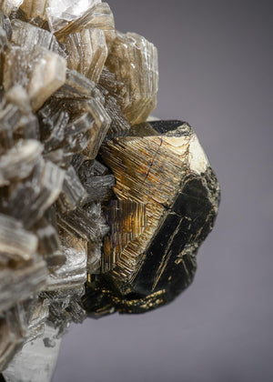 STANNITE with MUSCOVITE and FLUORITE