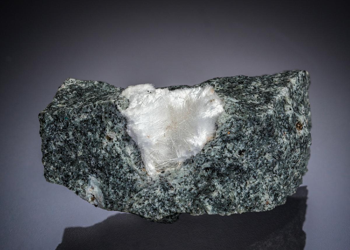 CC29037 specimen image