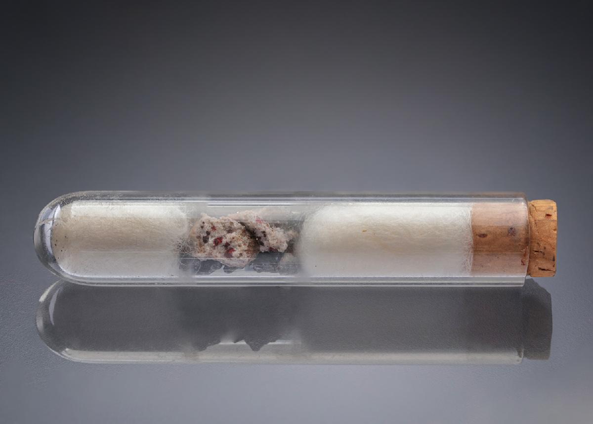 CC29045 specimen image