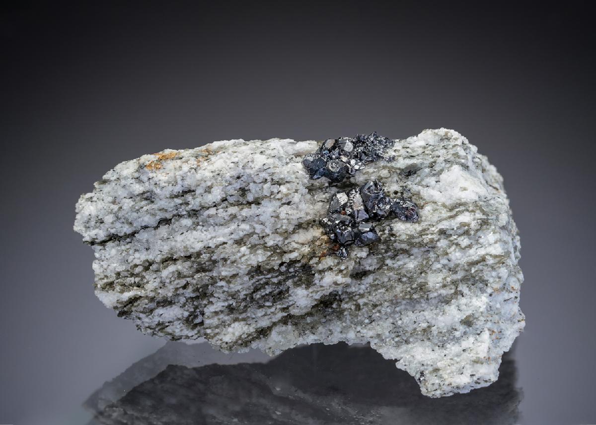 CC29059 specimen image