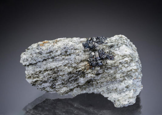 CC29059 specimen image