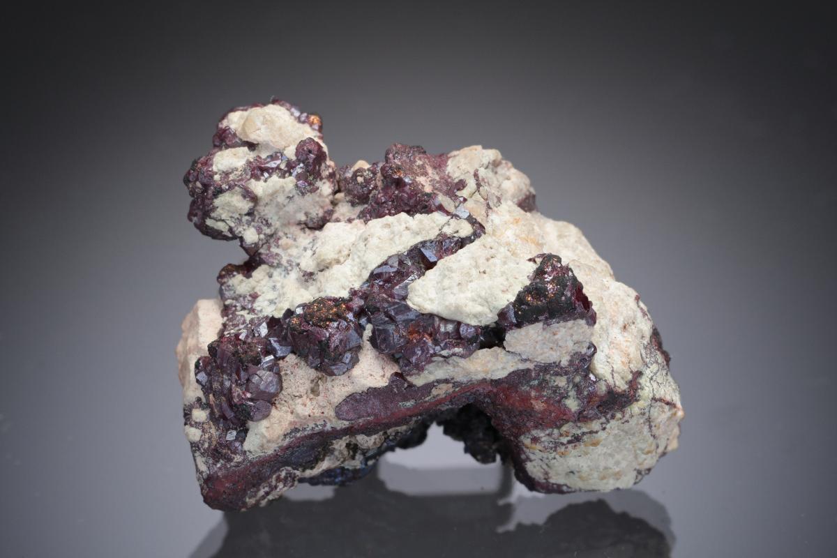 CC29065 specimen image