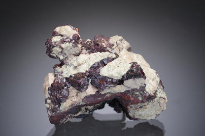CC29065 specimen image