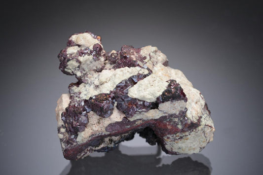 CC29065 specimen image
