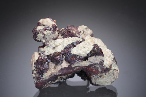 CC29065 specimen image
