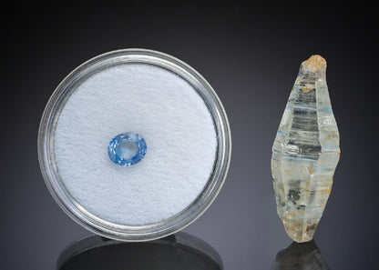 CC29071 specimen image