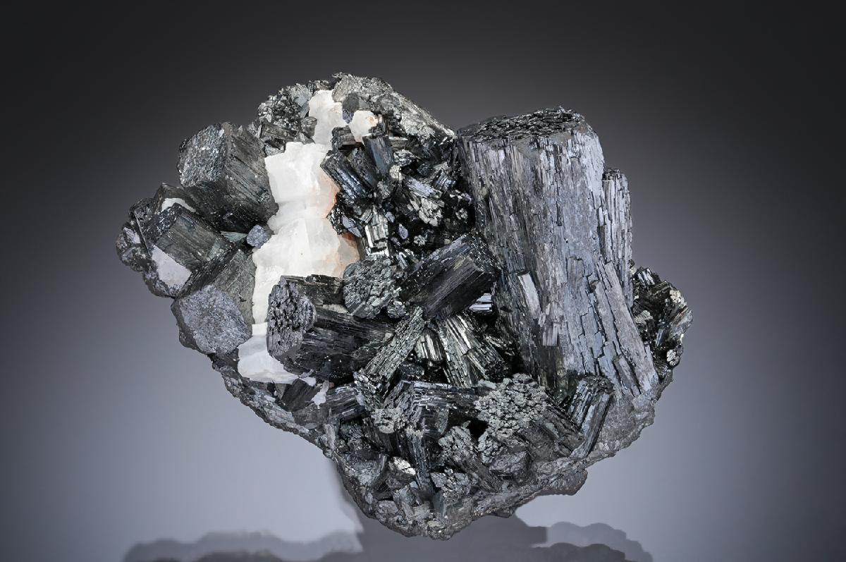 CC29073 specimen image