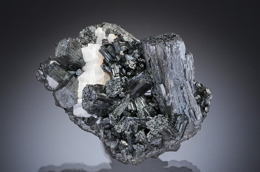 CC29073 specimen image
