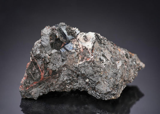 CC29099 specimen image