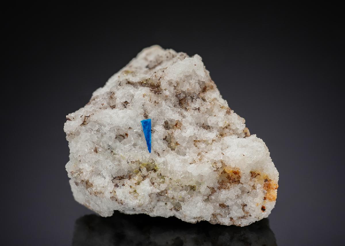 CC29105 specimen image