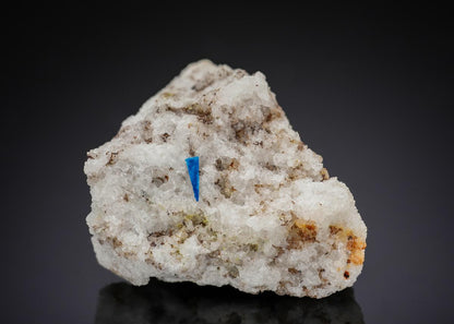 CC29105 specimen image