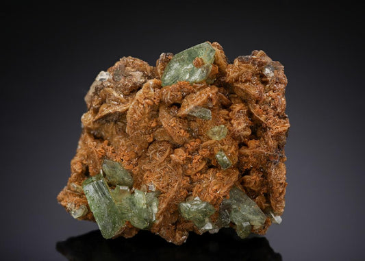 CC29121 specimen image