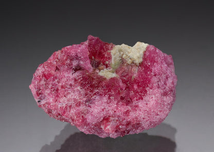 CC29127 specimen image