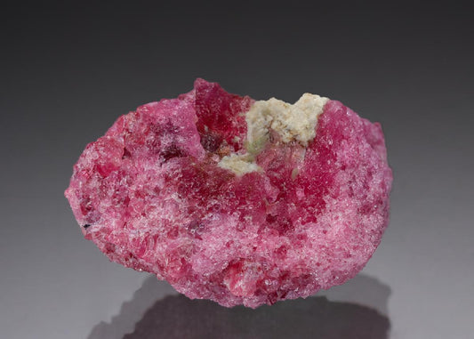 CC29127 specimen image