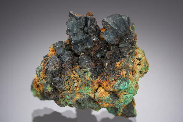 CC29129 specimen image
