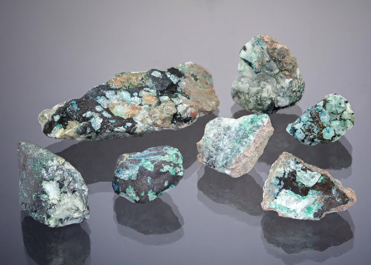 CC29133 specimen image