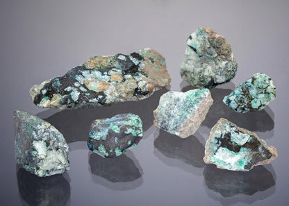 CC29133 specimen image