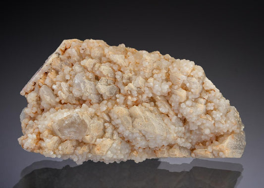 CC29141 specimen image