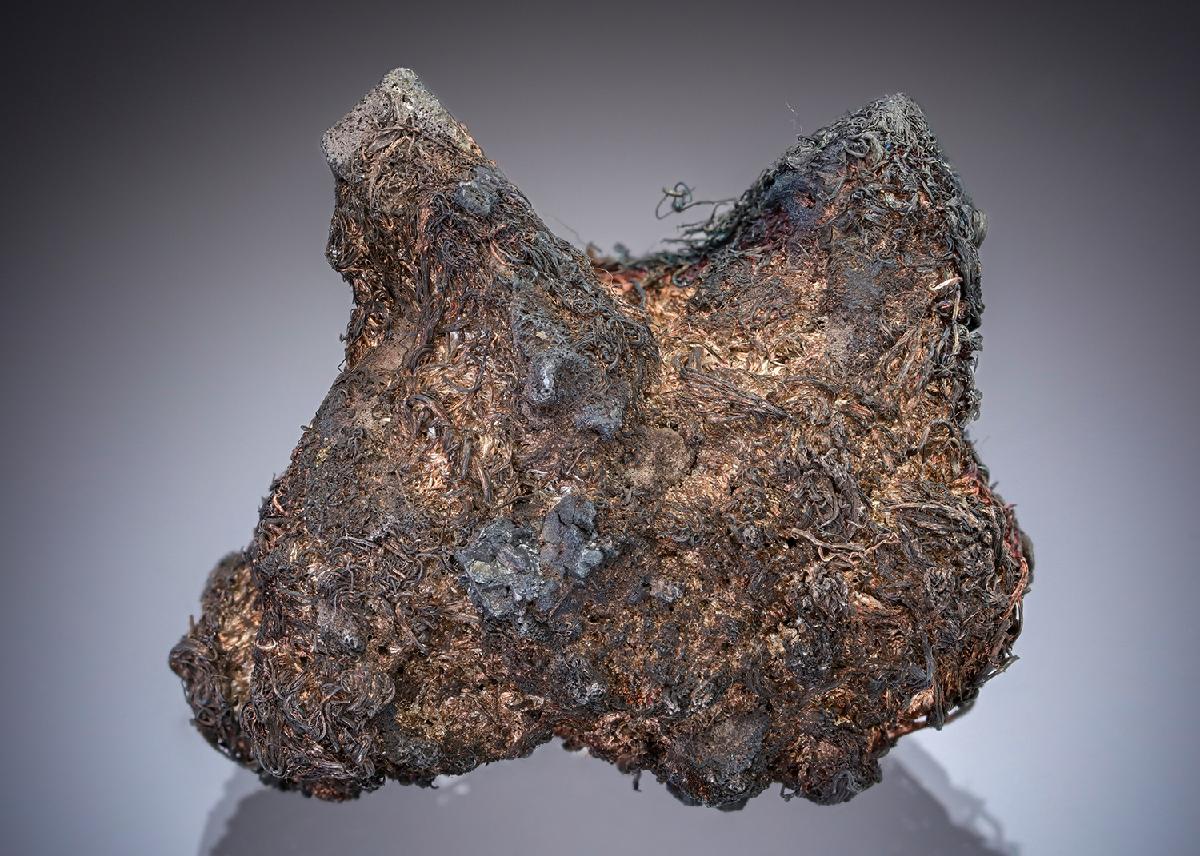 CC29169 specimen image
