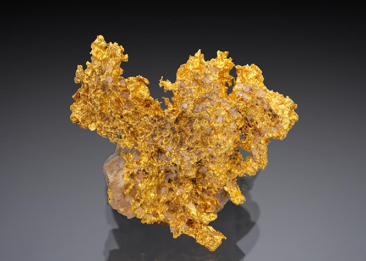 CC29171 specimen image
