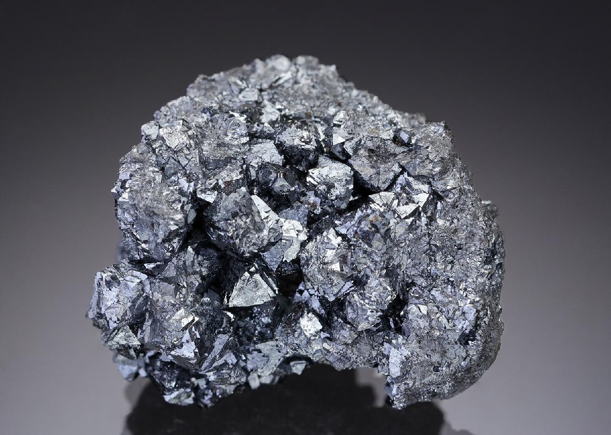 CC29181 specimen image