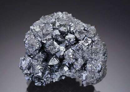 CC29181 specimen image