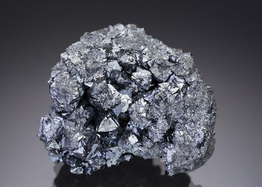 CC29181 specimen image