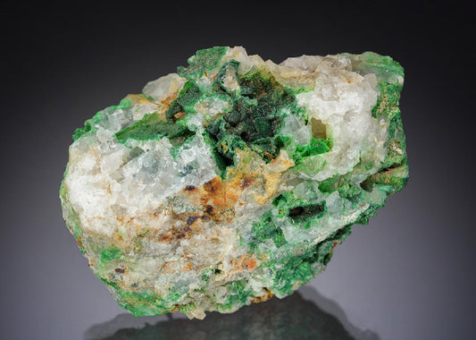 CC29183 specimen image
