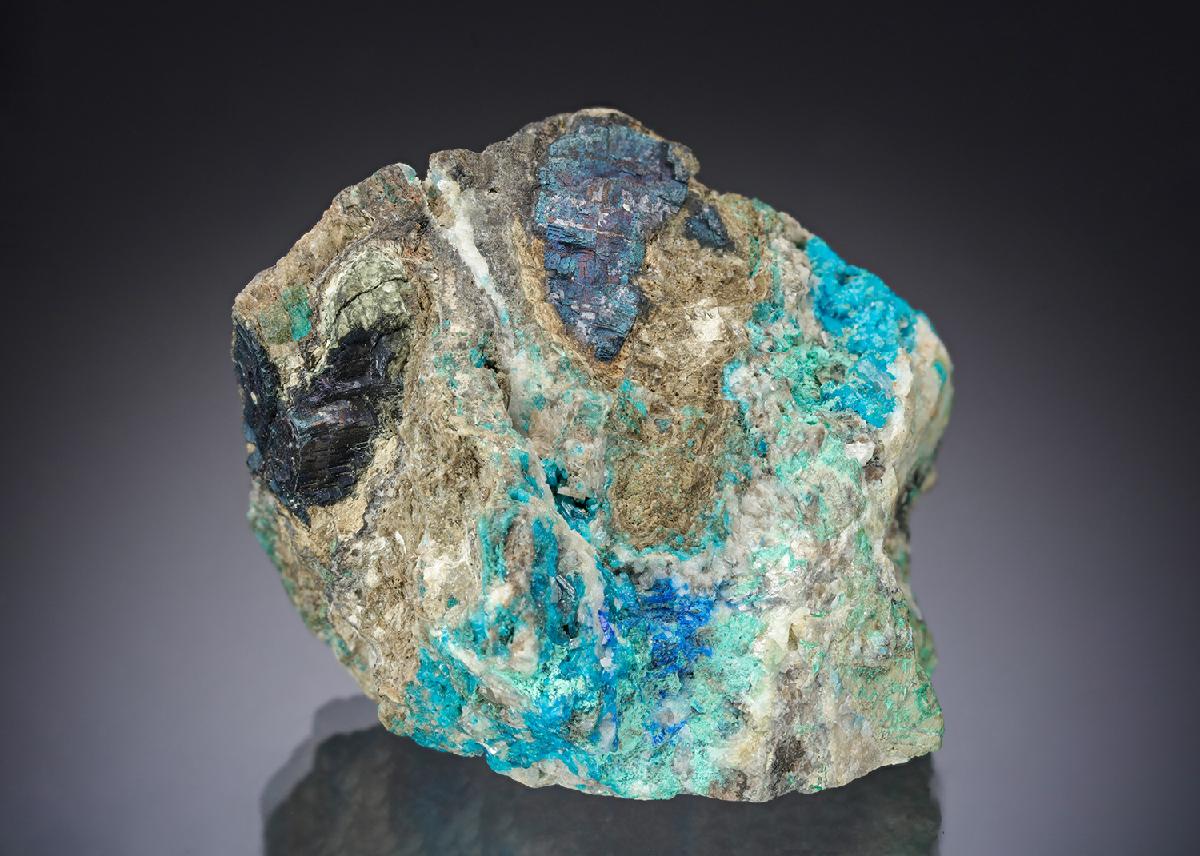 CC29185 specimen image