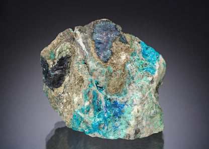 CC29185 specimen image