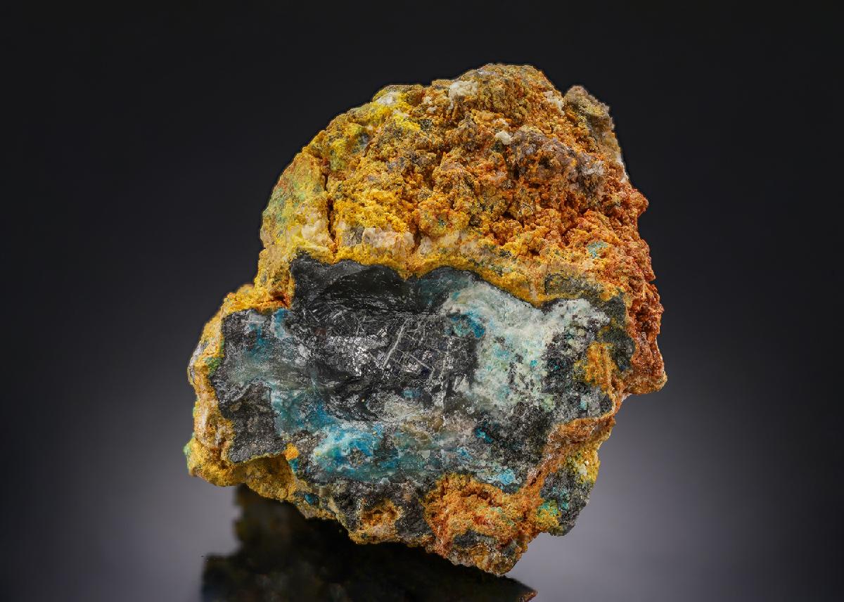CC29191 specimen image