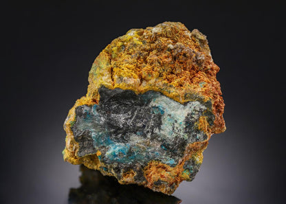 CC29191 specimen image