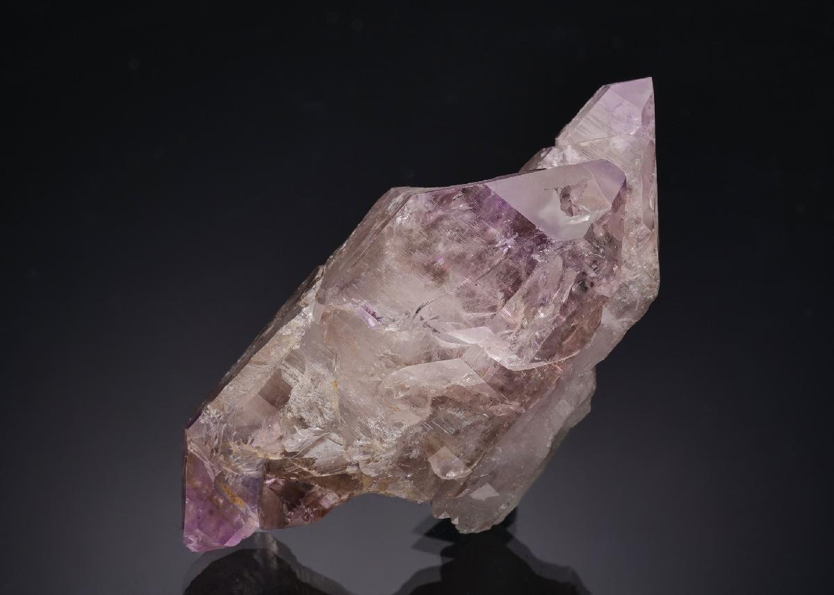 CC29199 specimen image
