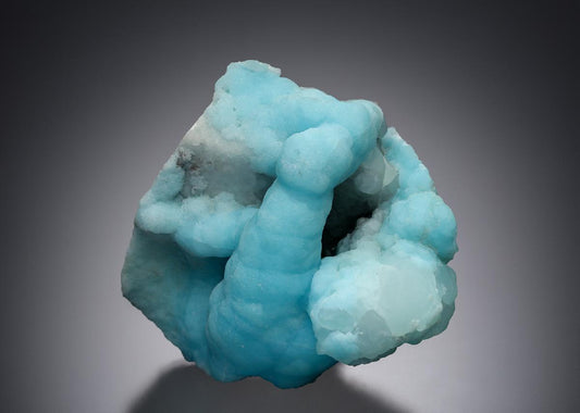 CC2921 specimen image