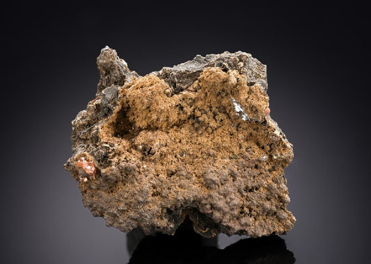 CC29215 specimen image